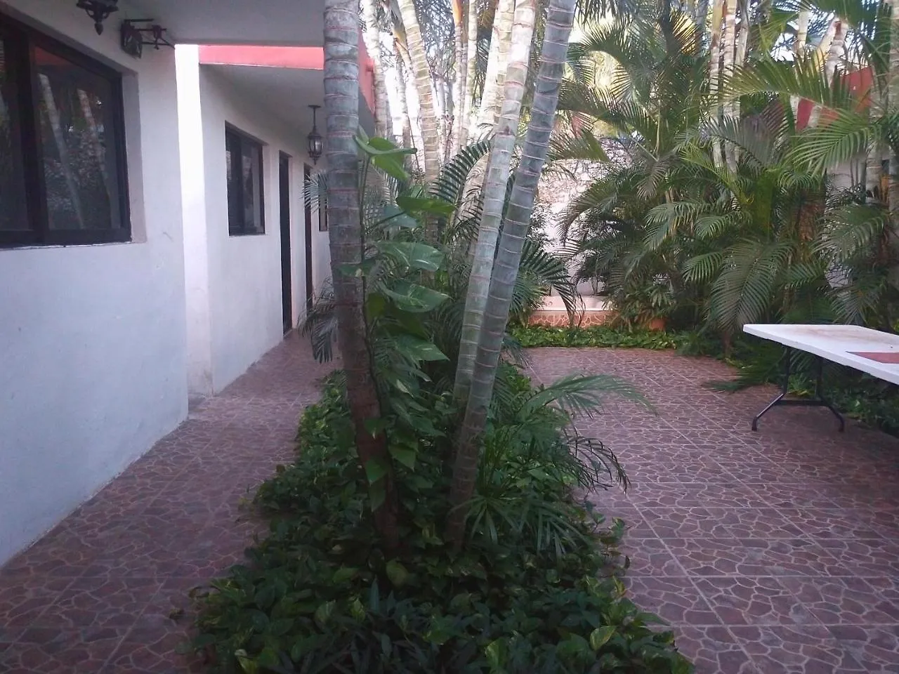 Apartamento Punto Checo Mérida